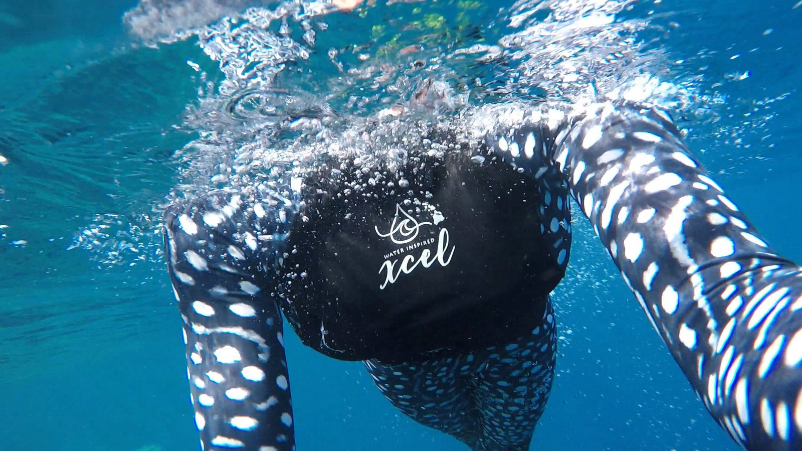 Mein Lieblings Lycra von Ocean Ramsey | Tauchen-Online-Shop von TAUCHEN-HAMBURG