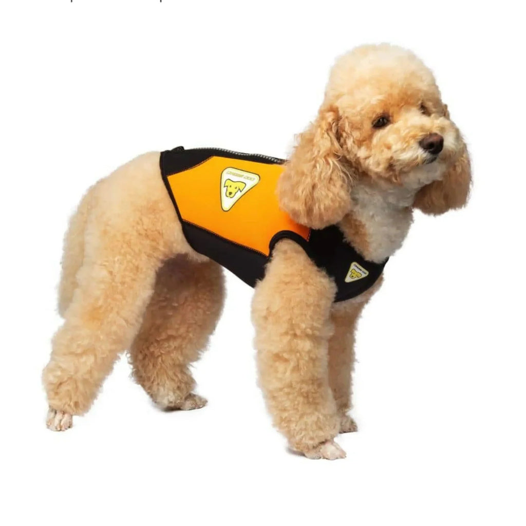 Cressi Dog Wetsuit 3mm - XL