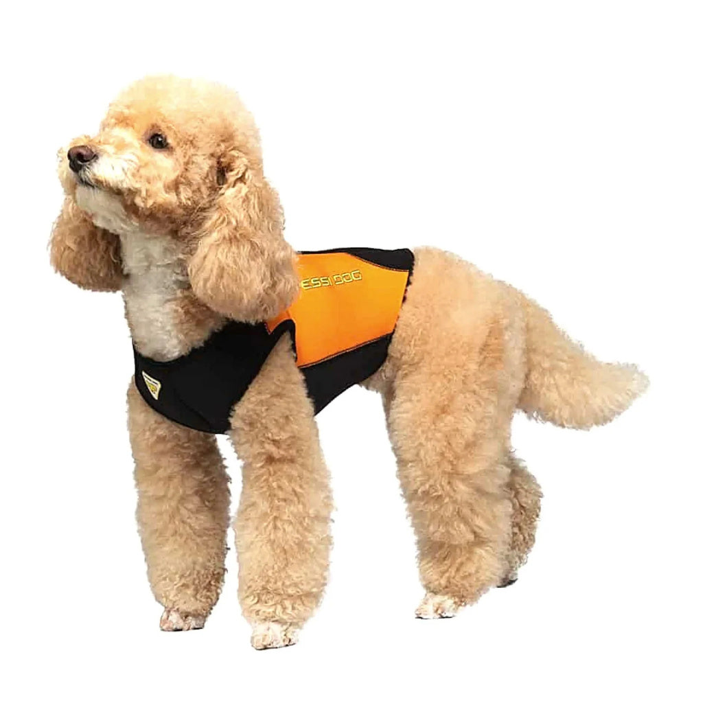 Cressi Dog Wetsuit 3mm - XL