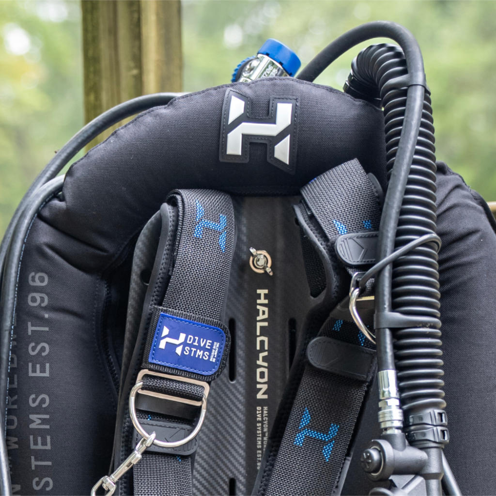 Halcyon ERA 30-lb - Carbon Backplate - Pro Single Tank