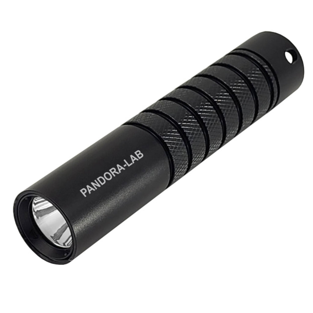 Pandora Lab Aron 900 Tauchlampe - Schwarz  incl. Akku