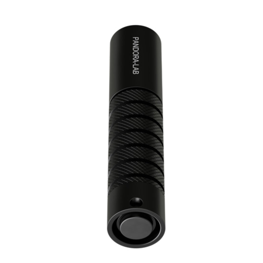 Pandora Lab Aron 900 Tauchlampe - Schwarz  incl. Akku
