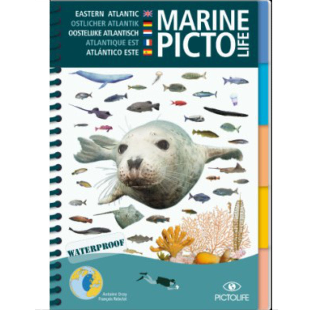Pictolife Östlicher Atlantik - Tauchen-Online-Shop von TAUCHEN-HAMBURG