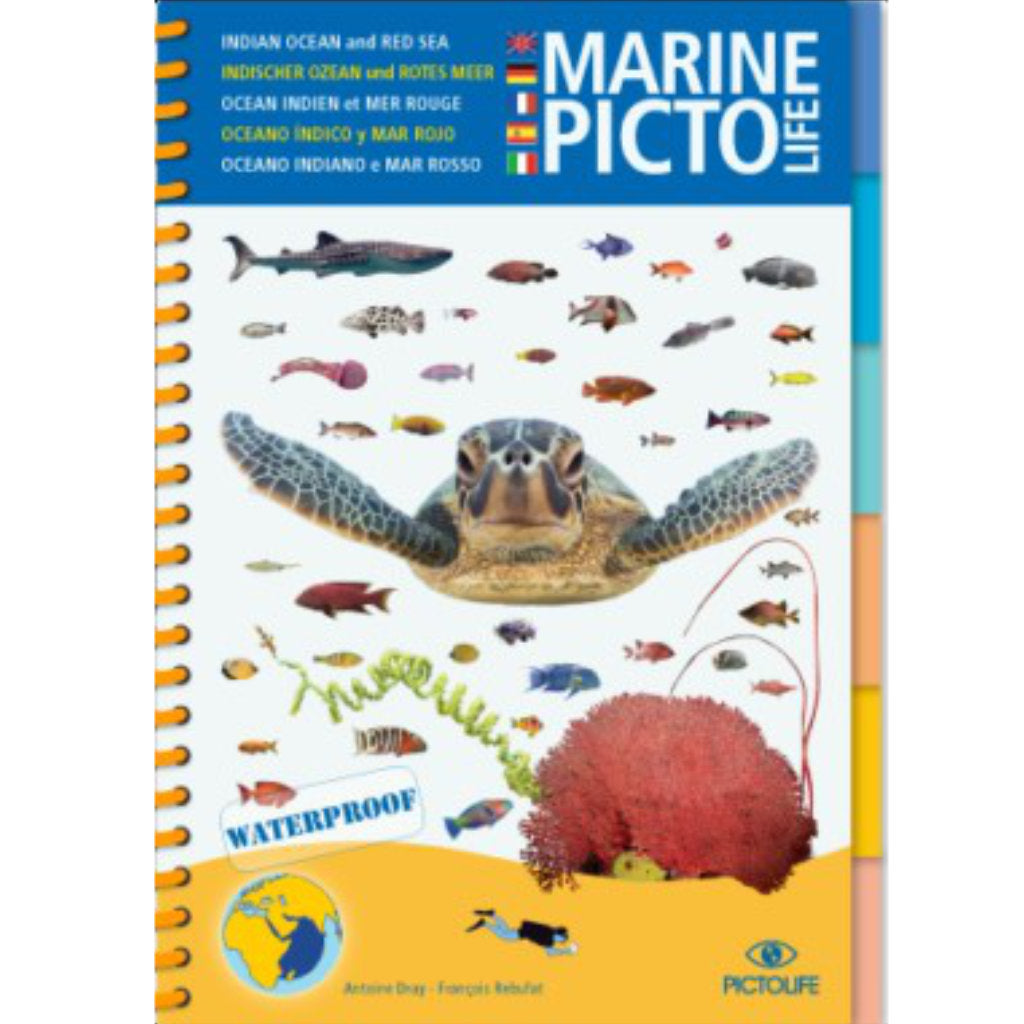 Pictolife Rotes Meer und Indischer Ozean - Tauchen-Online-Shop von TAUCHEN-HAMBURG