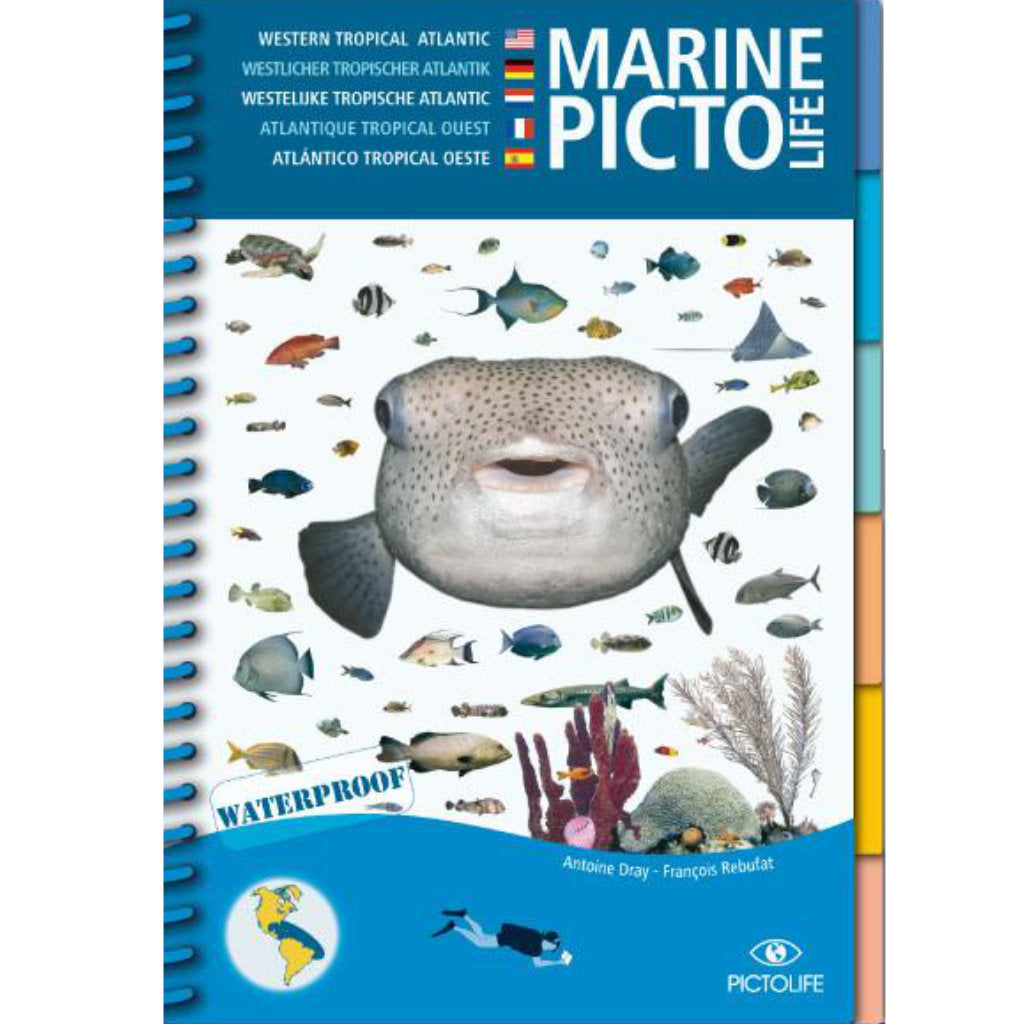 Pictolife Westlicher Atlantik - Tauchen-Online-Shop von TAUCHEN-HAMBURG