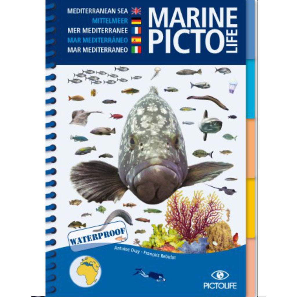 Pictolife Mittelmeer - Tauchen-Online-Shop von TAUCHEN-HAMBURG